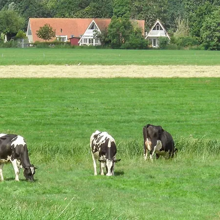 3 Bedroom In Den Oever